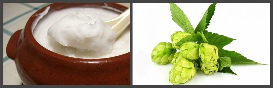 Hops and pork fat for the preparation of medicinal ointment for osteochondrosis